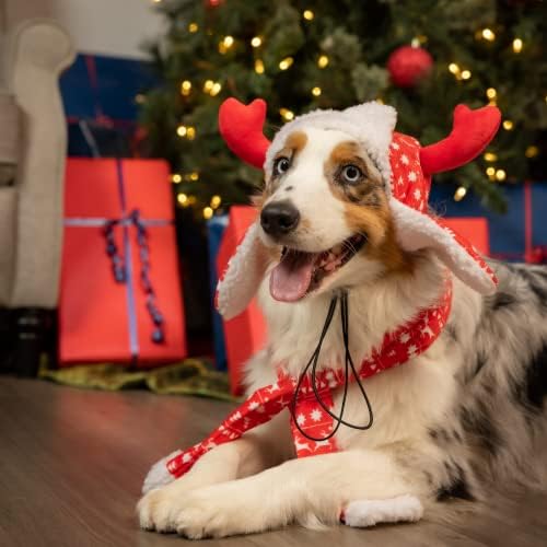 Huxley & Kent Pet Hat | קרני אדום פיירסל | אביזר חג חג המולד חגיגי לכלבים/חתולים | כובע חיית מחמד לחג | Snugfit החלקה מחליקים להתאמה הטובה